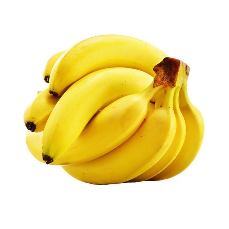 Basarai Banana Tree | Fruit Trees in Pakistan | Gulab.pk