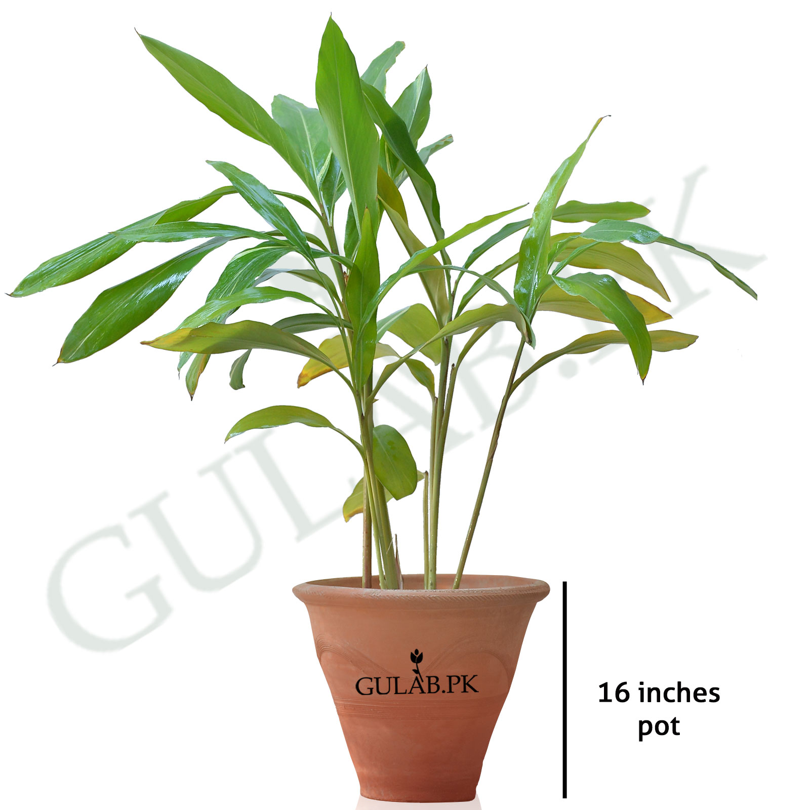 chinese planters Brown & Gold Chinese Dragon Planter main image 0