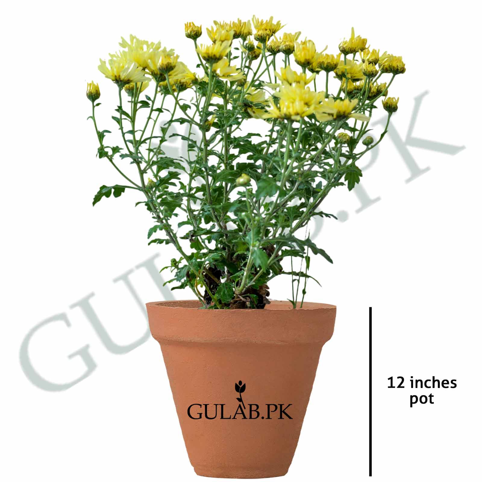 planter xxl 105cm XXL Zinc Planter Garden Flowers Trees Embossed Heritage – Garden Stall main image 1